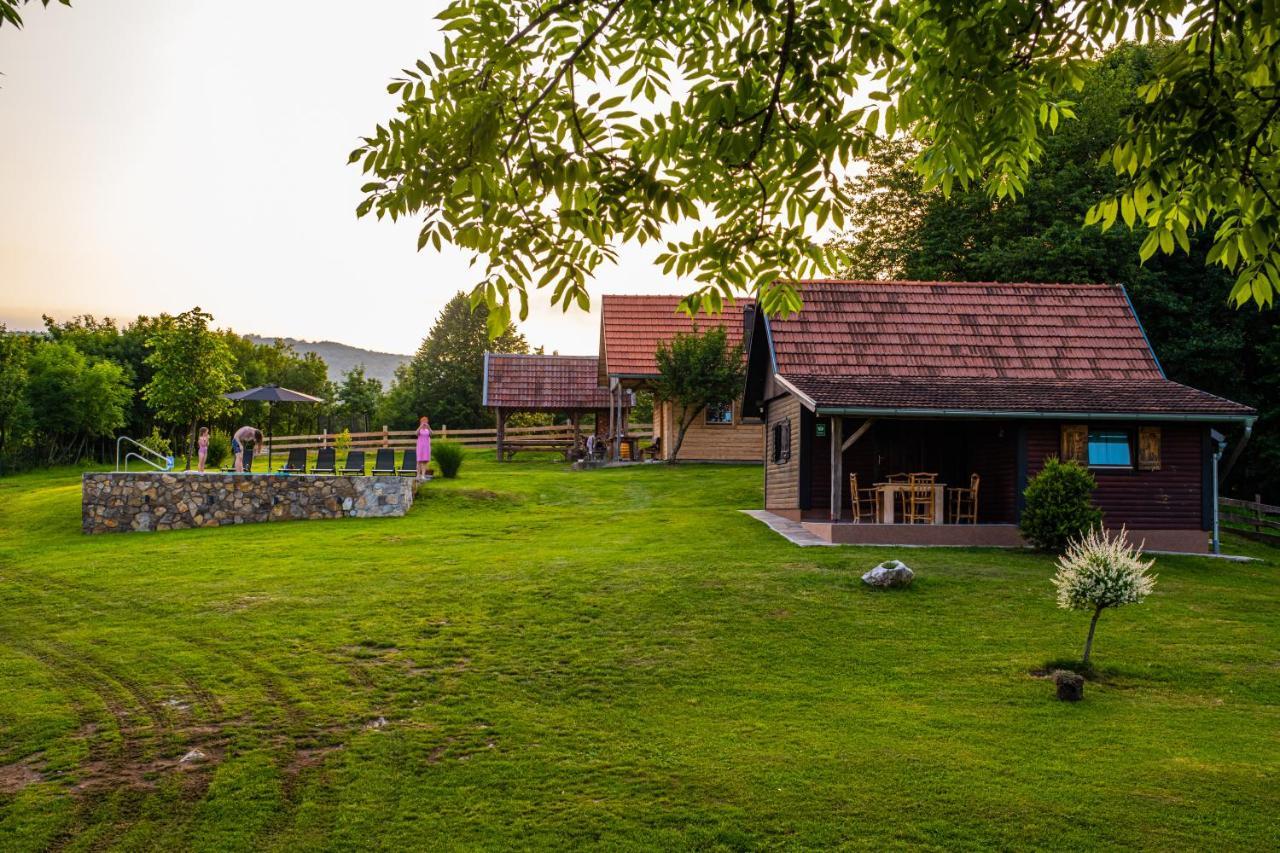 Iko Rakovica