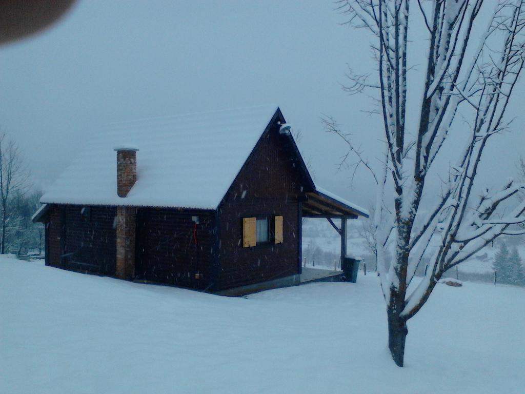 Iko Rakovica