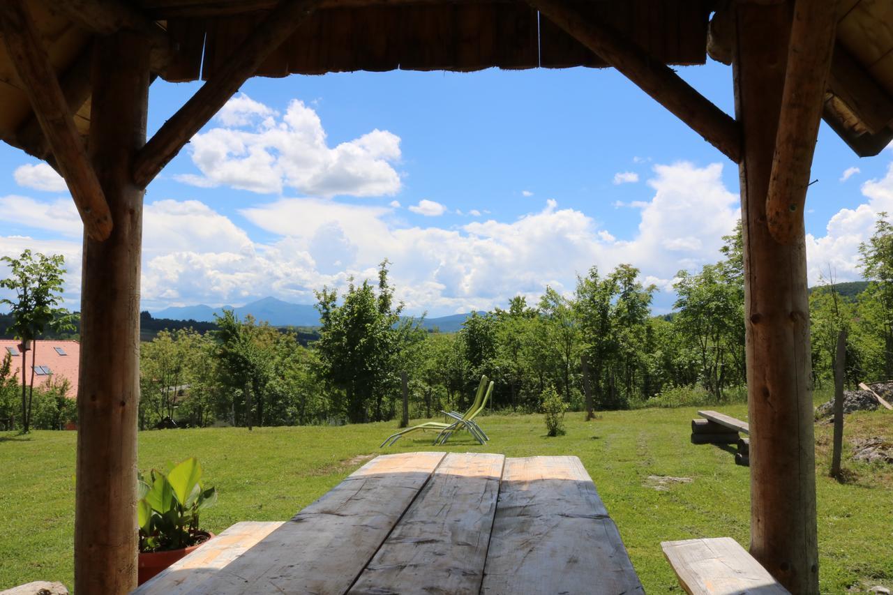Iko Rakovica